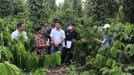 Kriê dlăng ngăn dŏ, răng mgang wăl hdĭp mda mơ̆ng boh sĭt Lăn dap kngư