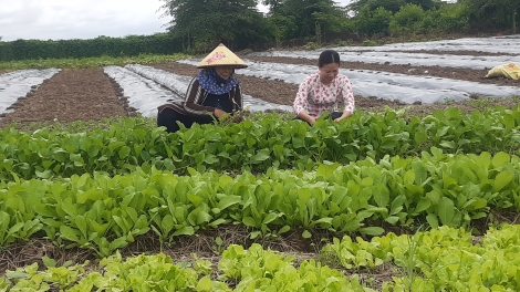 យុវវ័យ អូឡឹម ខេត្តអានយ៉ាង ព្រួតដៃកសាងជនបទថ្មី
