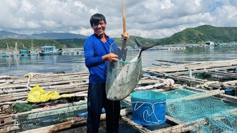 Dak Lak pêi pro krá tơdroăng pơkuâ hlâm păn ká xi xŏng