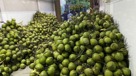 ពត៌មាន ម៉ោង​ ៦