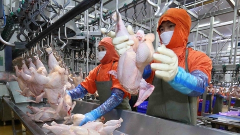 PAO ỎN MÌ ĐO TUA CÚA LIỆNG KHAI CHANG SLÌ NÈN CHIÊNG 2026