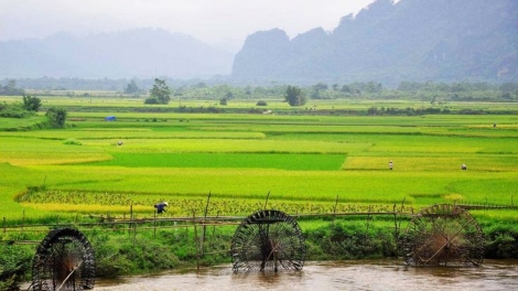 Danak dak sap Cam 09_11_2025