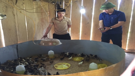 Ngon tô tênh căm thứ 5 mự 27 bườn 11 pì 2025- Po hay me na cận hụ số 15