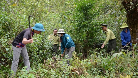 Lầy tzình cunz xiêuz kếu xiêuz mảng kềm