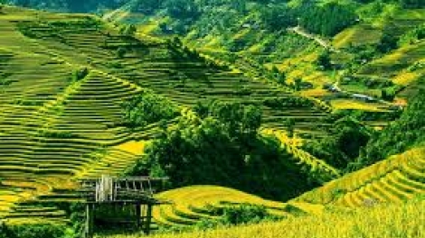 Danak dak sap Cam 05_11_2025