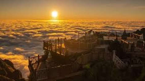 Danak dak sap Cam 12_11_2025