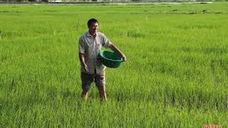 Danak dak sap Cam 18_11_2025