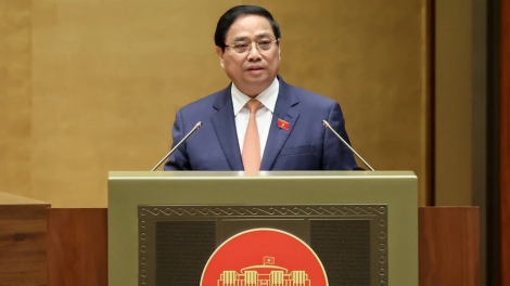 Gang 5 nháng Đảng tò con phát hiéng nhàng thun tziều tình đào kuaz