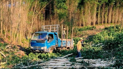 Lầy tzình phát sinh ìu miền vả thứ 5 hnoi 20.11.2025