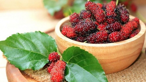 KỶ BÀI DA CHỎI PỈNH MỪA PỨT CHĂN ĐÂY