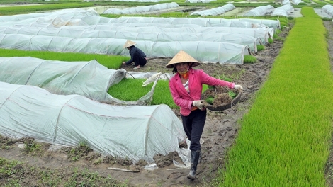 Ngon tô thứ 6 mự 21 căm bườn 11 pì 2025 – Luông pùn cặm tó cắp phạ nào cưm hại hức, lạ hy lài mự dệt hại hẳư cò púk bồng