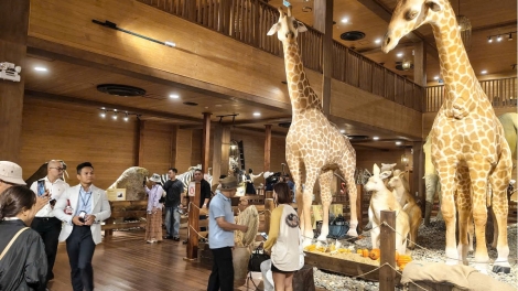 Lâm Đồng ya srăng ngă čiăng bi klă anôk mâo klei găl? 