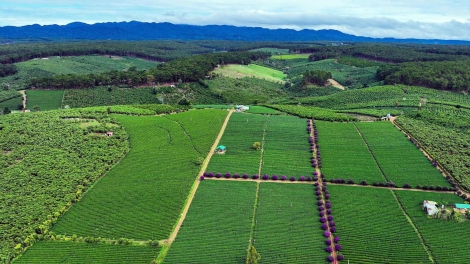 Tây Nguyên ƀă Nam Trung Bộ mơdêk mơhnhôk tơmối mot ôm hyô