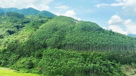 Lầy tzình phát sinh ìu miền vả  hnoi 21.11.2025