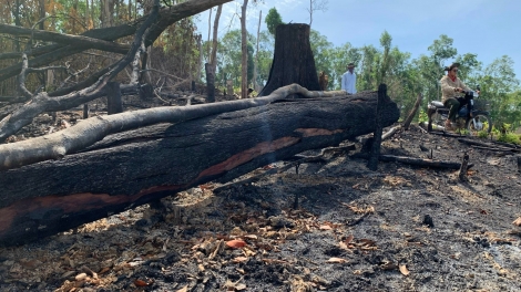 Mât ndoh ndơ ơm geh, mât ntŭk ntu gŭ âm tă bah nau dôl geh bah Tây Nguyên