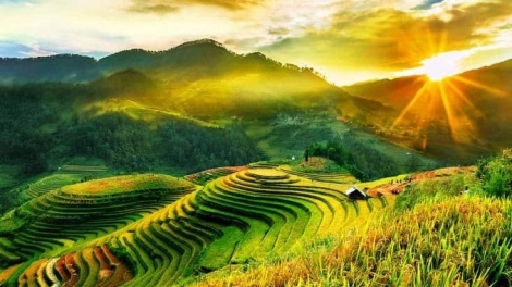 Danak dak sap Cam 23_11_2025