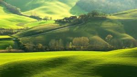 Danak dak sap Cam 10_11_2025