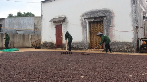 Pĕ lêh n’hanh mât prăp cà phê tâm rnôk trôk mô lăng prăng mô sơh.