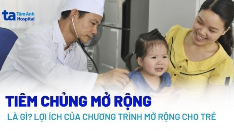 Lầy tzình phát sinh ìu miền vả hnoi 21.11.2025