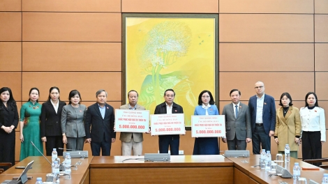 Quảng Ninh djru 15 klai prăk kơ Gia Lai, Khánh Hòa hăng Dak Lak pơsir tơlơi truh ia ling dăo ngă