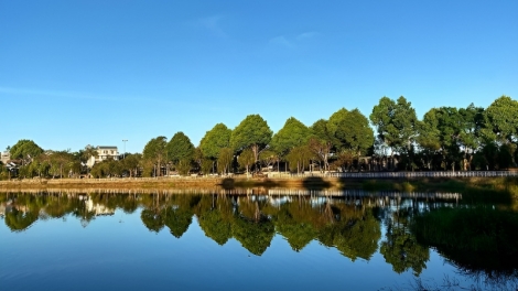 Bài ca đoàn kết 