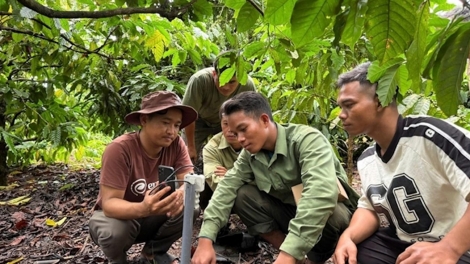 Tơlơi glăm ba mơ̆ng bruă pơsur ngă hmua akŏ pơjing anih pla pơjing hơđong ƀơi kual Dap Kơdư