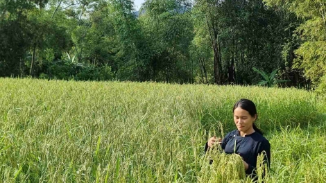 SLE MUỐI KHẨY DÚ BÚNG SLUNG KHAI ĐẢY THEM LAI CHÈN