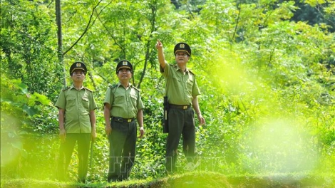 Ngon tô tênh căm thứ 6 mự 28 bườn 11 pì 2025- Quản lý cánh pảy chự pá