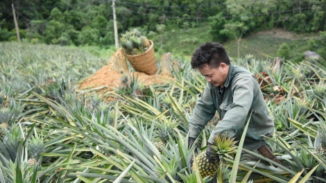Chường trình phát thanh thứ 4 tênh căm mự 26 căm bườn 11 pì 2025