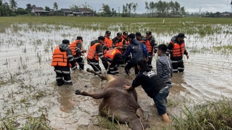 Lăng ba tơlơi suaih pral kơ mơnuih ƀôn sang tơdơi kơ ia dăo