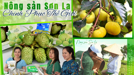 Lầy tzình phát sinh ìu miền vả  hoi 10.12.2025