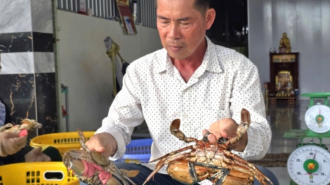 ពត៌មាន​ម៉ោង១៥