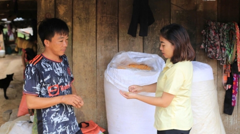 Nôngx mênhx zuôr tsuv pâuz hnuz 2-12-2025