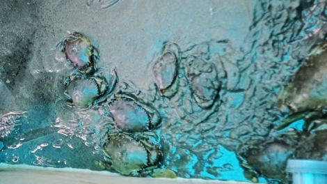 ផ្តល់កូនសោរទៅកាន់ចំណេះដឹង ជួយអ្នកក្រីក្រឱ្យក្រោកឈរឡើង