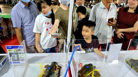 ពត៌មាន ម៉ោង ១៥