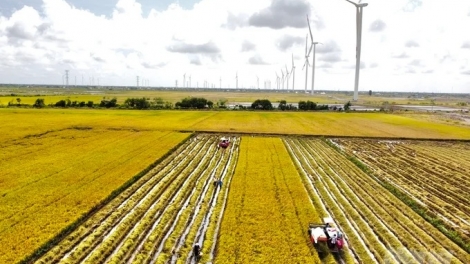 DANAK DAK 1 TRIEU HECTA RIK TAME PEIH NGAK TUI DOM SANYA KA BRUK PATRUH THAK NERAK SANG CAMIN