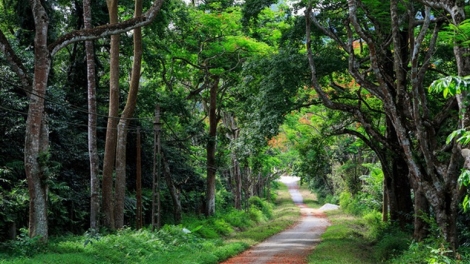 Chaoz nhàn tzìn xiêuz mảng kềm