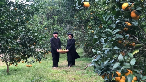 CHƯƠNG TRÌNH KHAY HENG TÀY - NÙNG (Thứ Ba, vằn xo 2/12/2025)