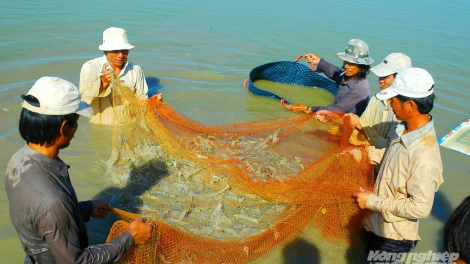PACAGA RUAK BREI KA HADANG RAONG IEU LAC ANEK KIAR PATAGOK YAOM DI NYU 