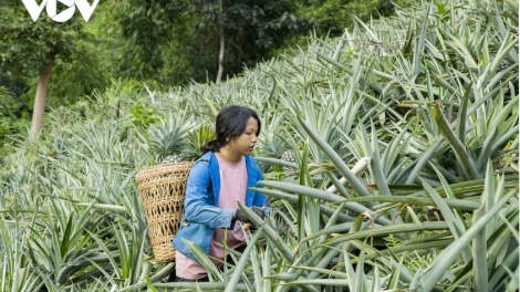 Lầy tzình phát sinh ìu miền vả thứ 2 hnoi 08.12.2025