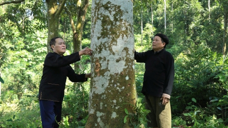 Chương trình phát thành quam Tay thứ 3 mự 9 căm bườn 12 pì 2025	