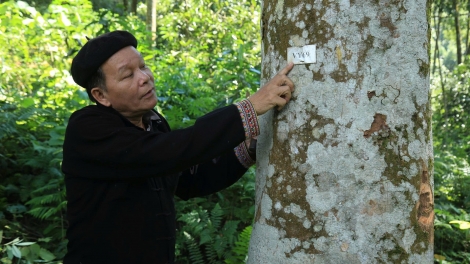 Lầy tzình phát sinh ìu miền vả hoi 09.12.2025