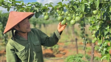 Trong jang hơdai “5 hơnih” vă gui yuăn hơtŏk tơiung kơjăp 