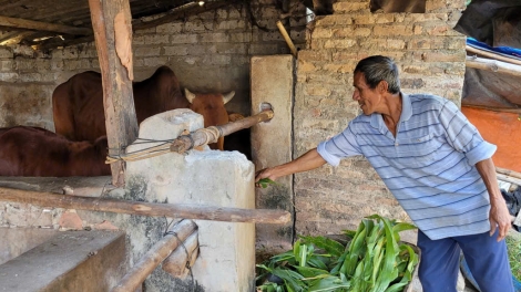 MÌ TÀNG PANG HƯA, PỈ NOỌNG ỎN SLIM HẾT KIN