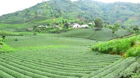 Ngon tô thứ 4 mự 03 căm bườn 12 pì 2025: Pọm cằn bánh pằn đìn đòn vạy dệt tang pày ma – tẳng tánh phổng hươn quề đáng kìn dú Bình Thuận