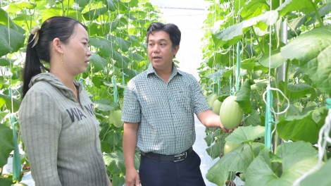  រដូវត្រសក់ផ្អែមពោពេញដោយក្ដីសង្ឈឹម។