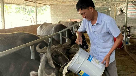 Lầy tzình phát sinh ìu miền vả hoi 11.12.2025