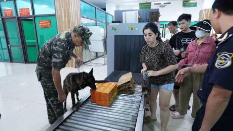 Lầy tzình phát sinh ìu miền vả thoi 12.12.2025