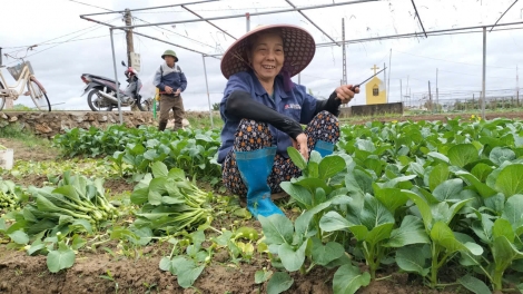 BÚNG CHAY PHJẮC KHEO LAI TẢI ẾT THÁI NGUYÊN KHEO ĐÂY TÒ TẺO