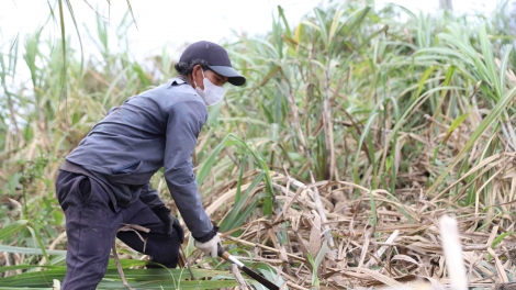 ĐỢ HÂN NOO ATAO LIÊM ĐHỊ ĐHĂM K’TIÊC GOOH GRIING COH ZR’LỤ ĐHANUÔR ACOON COH GIA LAI